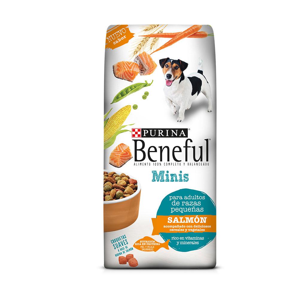 beneful minis salmon