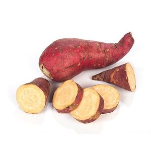 Camote