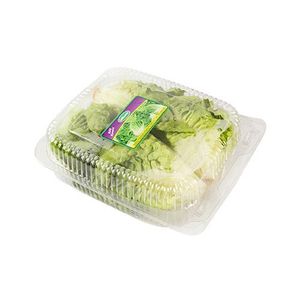 Lechuga Baby Romana Coffruvex