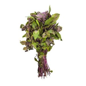 Albahaca Manojo