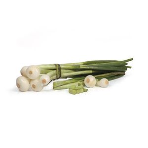 Cebolla Tallo Manojo