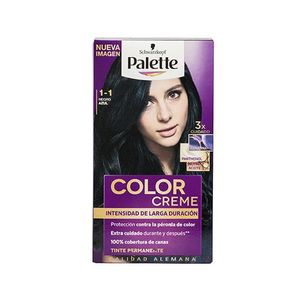Tinte Dama Negro Azulado Palette