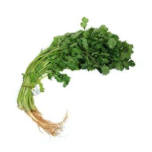 Cilantro Manojo