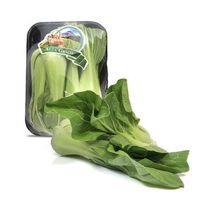 Pak Choi Bandeja