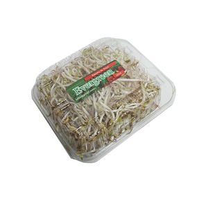 Retoño De Soya Evergreen