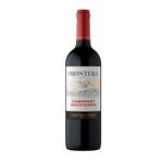 16693-frontal