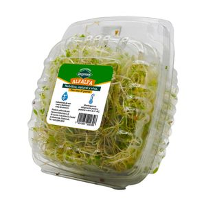 Alfalfa Express