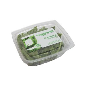 Albahaca Verde Veggiwell