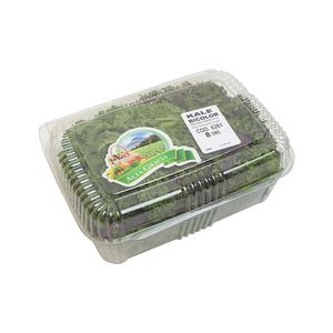 Kale Bicolor Alta Gracia