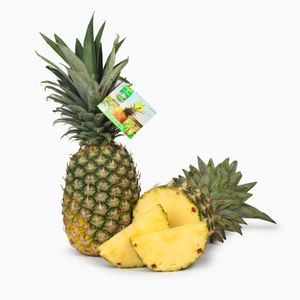 Piña Tropical Sweet Del Frutal
