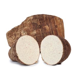 Malanga