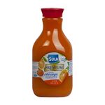 103582-frontal