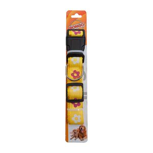 Collar Con Diseño Bongo