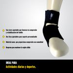 2051099-com3