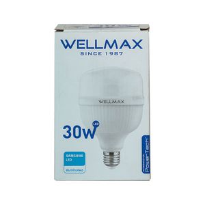 Foco Led 30W Wellmax