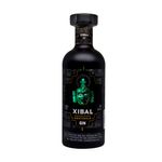 118541-frontal