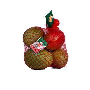 Mango Tommy Dispersa