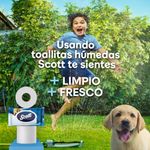 114805-com6
