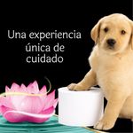 2005505-com5