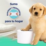 2052816-com4