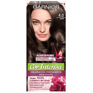 Tinte Dama Castaño No.4.0 Garnier
