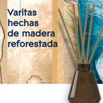 2057535-5.jpg